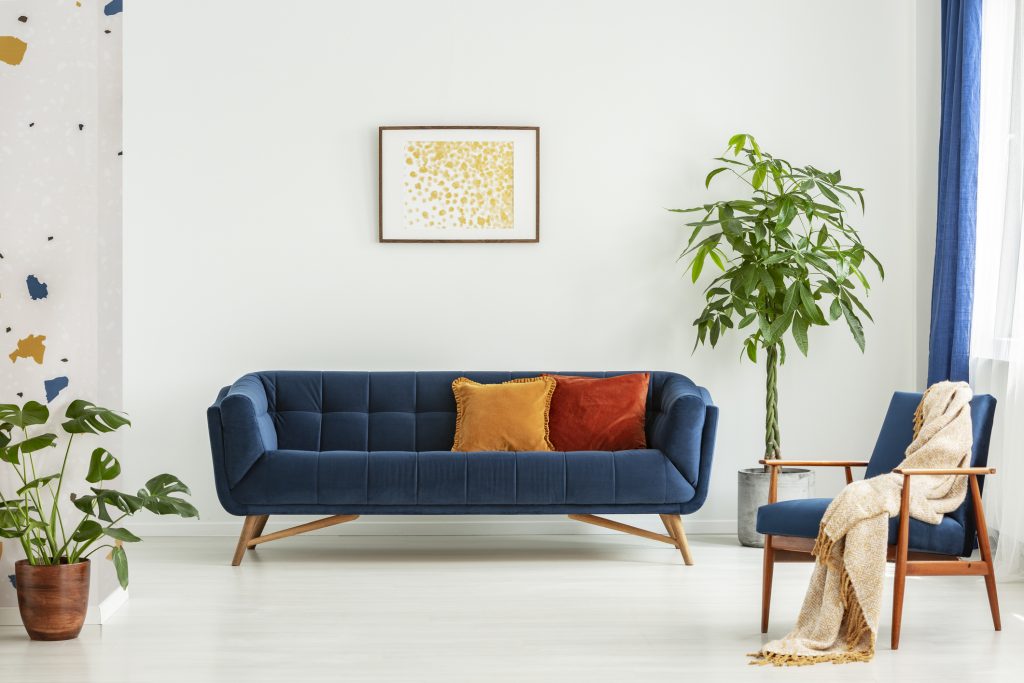 Mid-century modern chair with a blanket and a large sofa with colorful cushions in a spacious living room interior with green plants and white walls. Real photo.