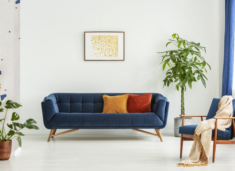 Mid-century modern chair with a blanket and a large sofa with colorful cushions in a spacious living room interior with green plants and white walls. Real photo.