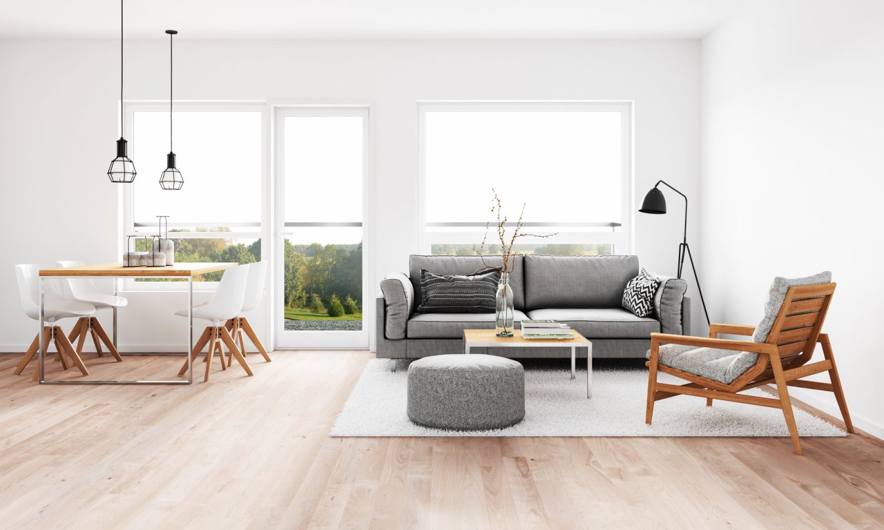 Modern living room with dining room
