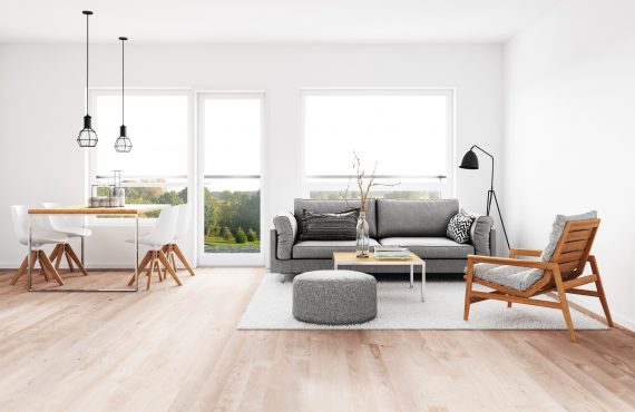 Modern living room with dining room