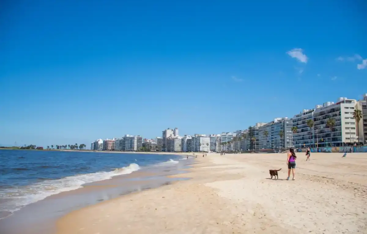 casas en venta en pocitos