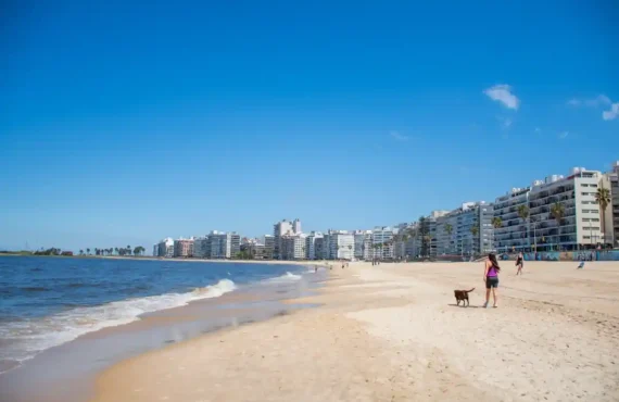 casas en venta en pocitos